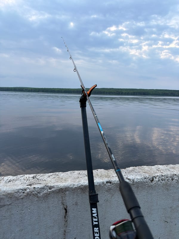 Early morning fishing session yields catches in Chaikovsky, Russia