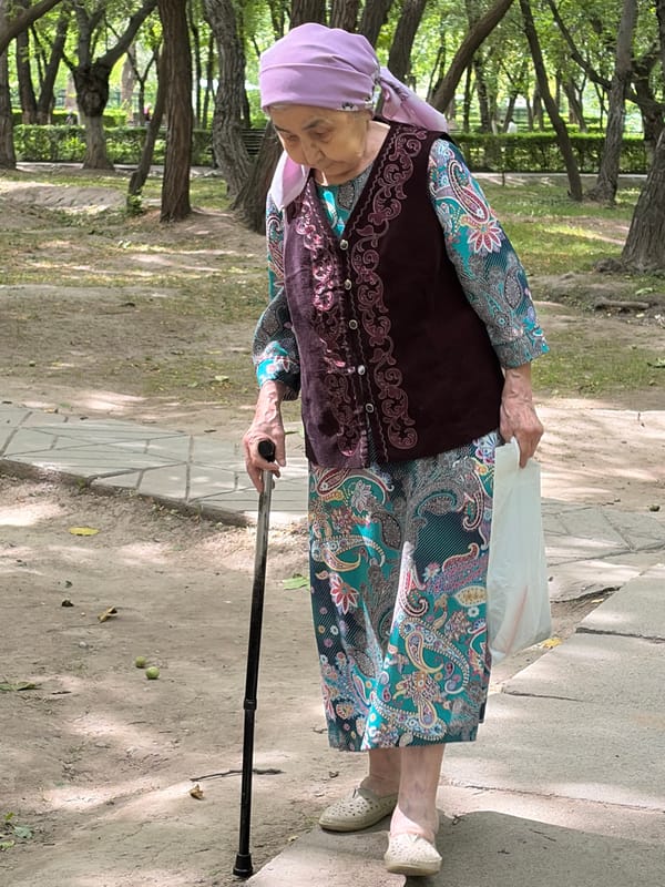 Morning park life captured through 30 everyday moments