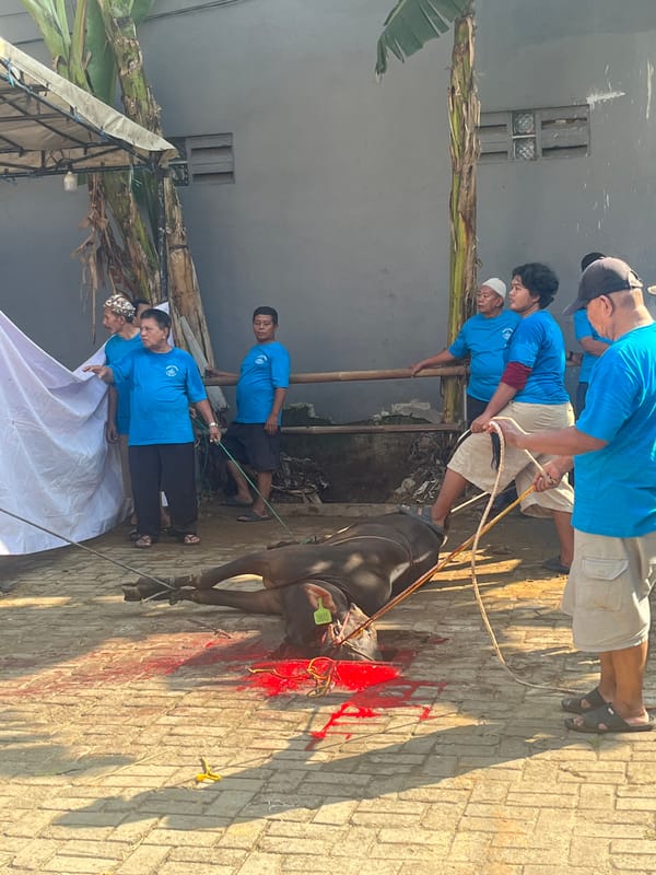 Ritual sacrifice and mosque renovation documented in Tangerang