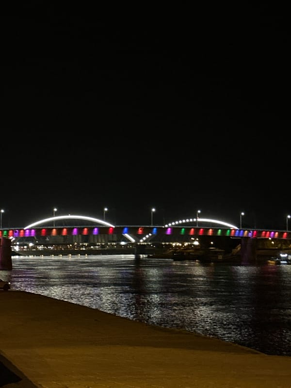 Novi Sad landmarks illuminated in colorful nighttime display along Danube