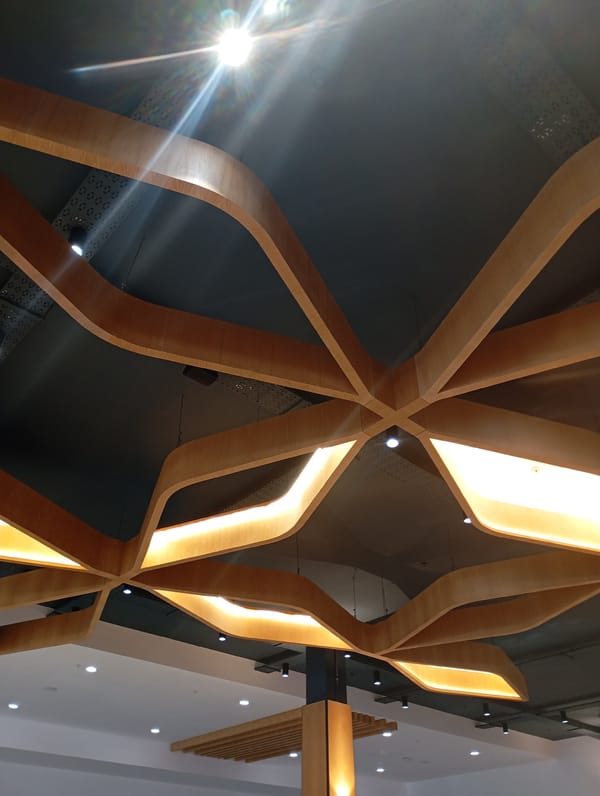 Shoppers document mall visit and city views in Johannesburg