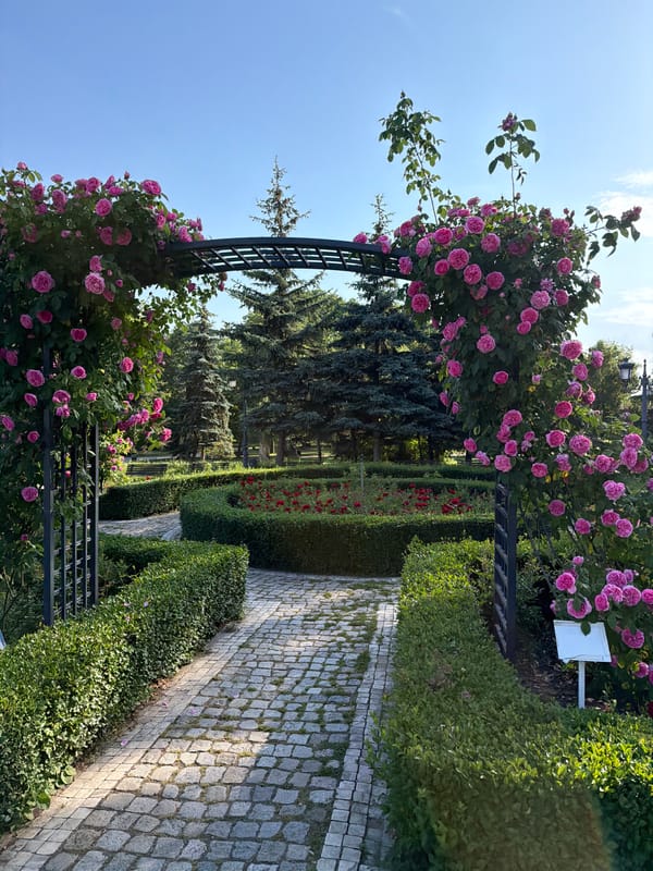 Cobblestone garden path photographed in Sofia, Bulgaria