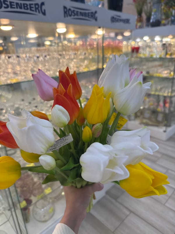Woman documents shopping trip at home goods store in Klin