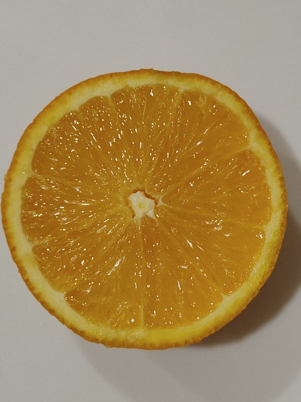 Unknown photographer documents oranges and household objects in afternoon session