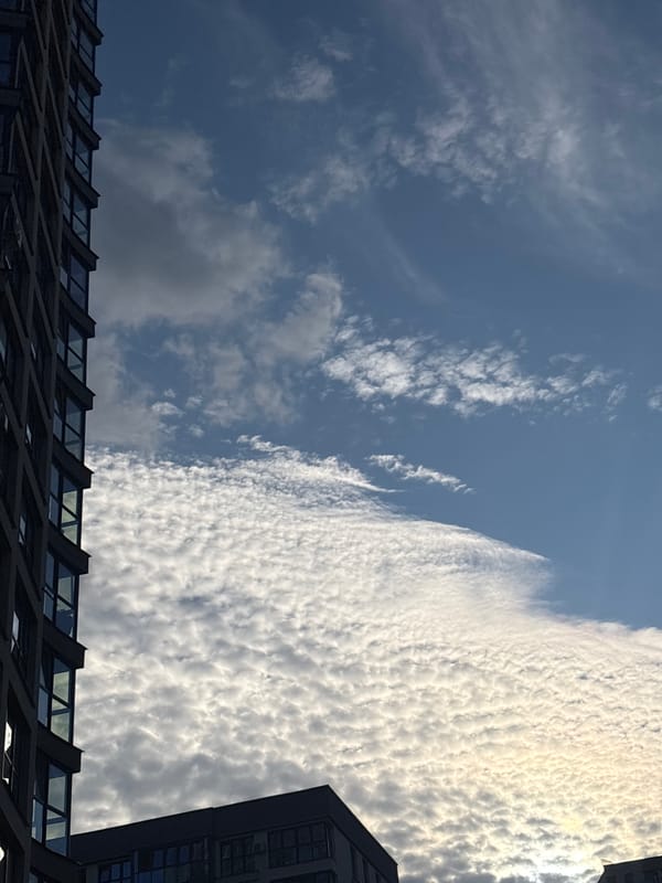 Blue sky and apartment towers, Minsk, July afternoon