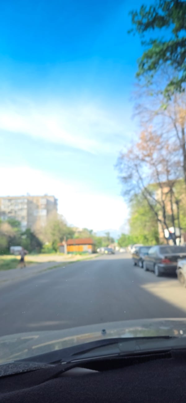 Lazy morning at home and around the streets of Bishkek