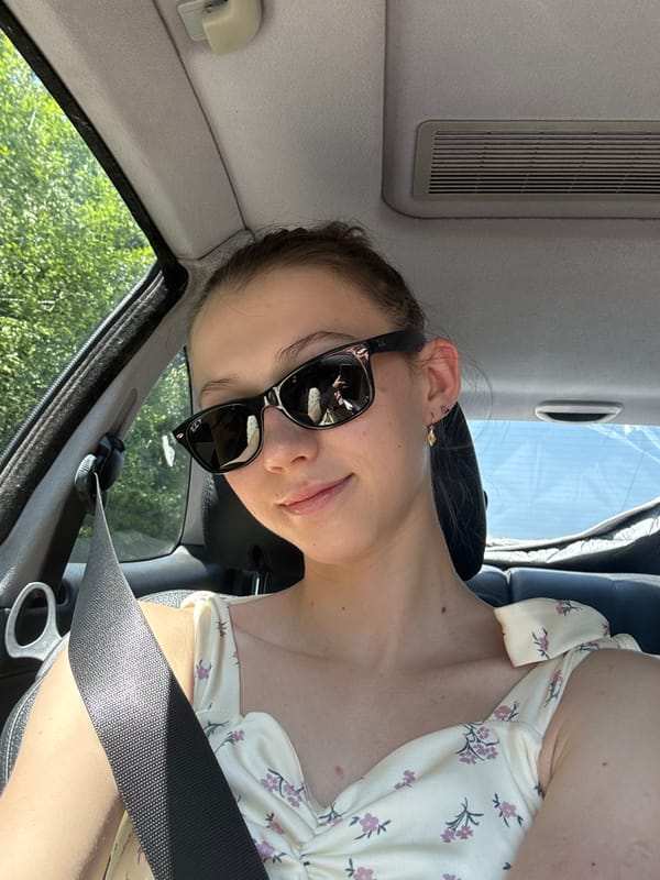 Car selfies on a sunny day in Klingenberg am Main