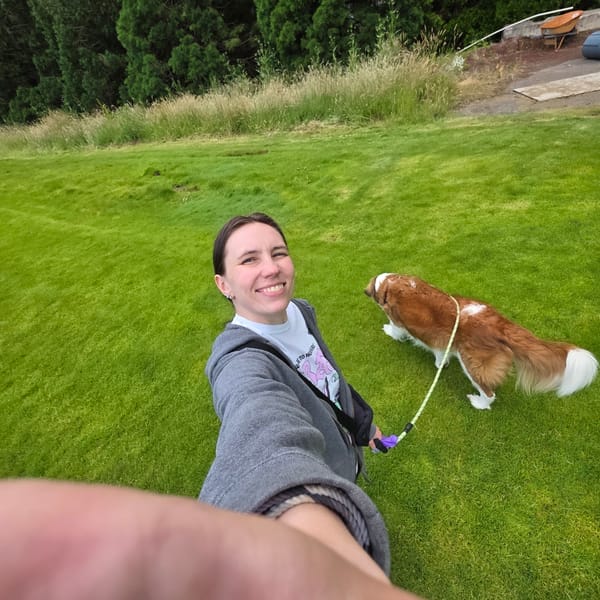 Saint Bernard day out near Oregon Zoo's forested trails