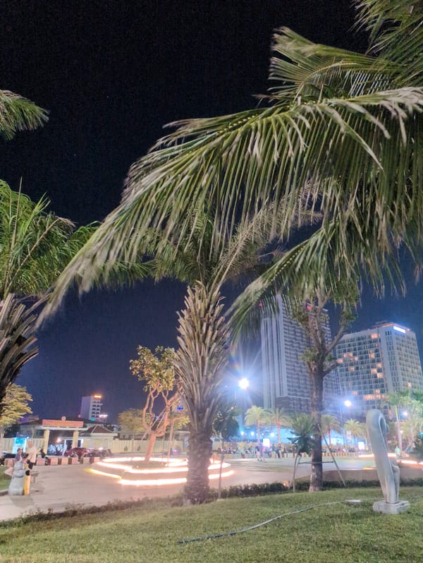 Moonlit evening activities captured across Quy Nhon beaches and parks