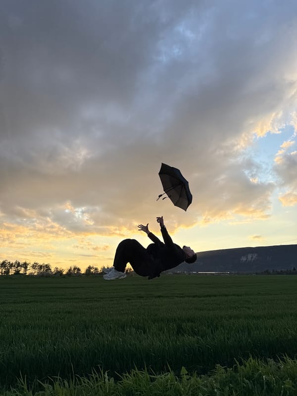 Person chases falling umbrella in Bulgarian field at sunset