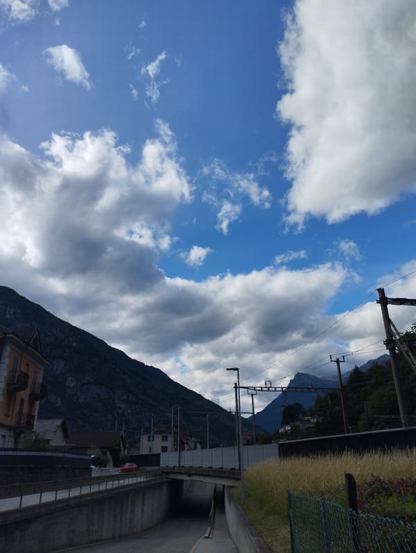 Alpine village life documented through街景 and blooming flowers