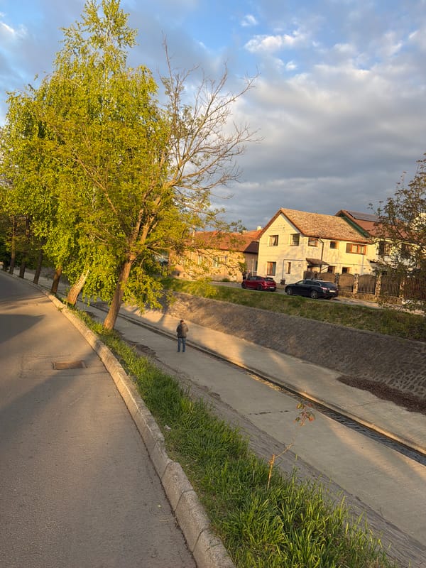 Residential streets and canal documented in Târgu Mureș, Romania