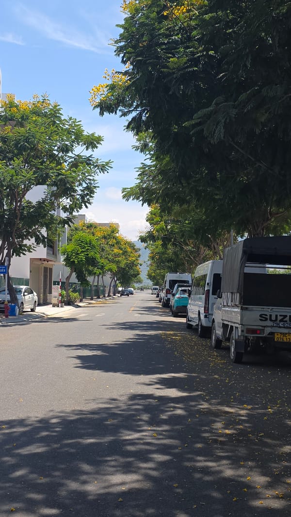 Morning street documentation in Nam Nha Trang Ward, Vietnam