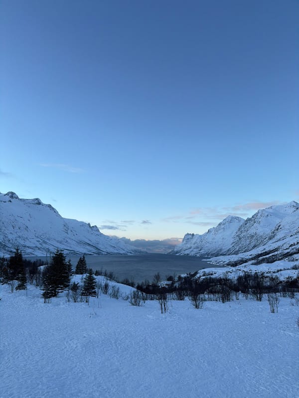 Arctic fjord landscape documented in Tromsø, Norway