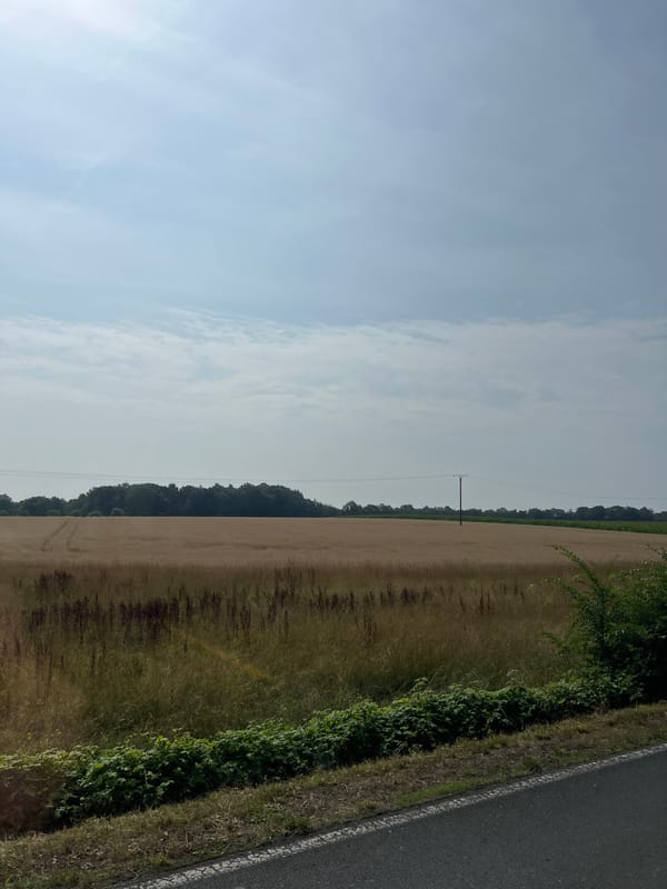 Rural fields and a roadside selfie on a hazy summer morning