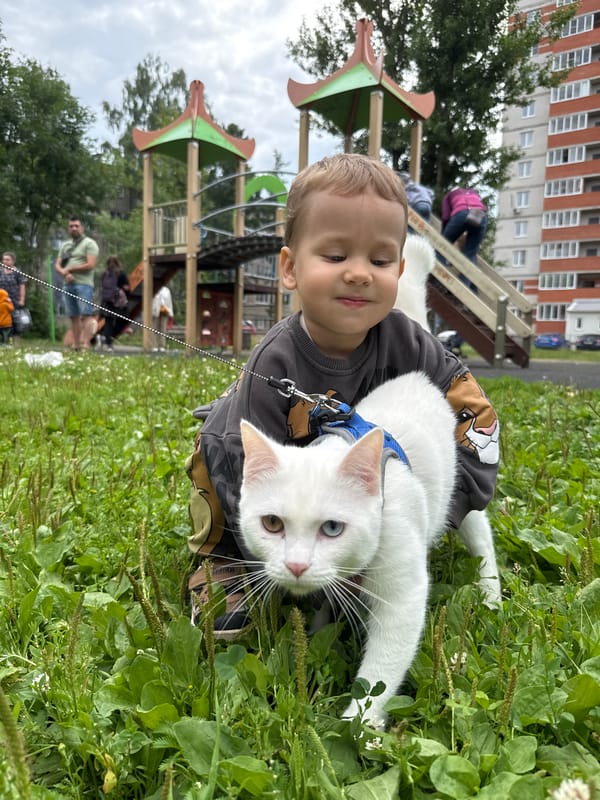 Playground pause and roadside gas station, central Russia