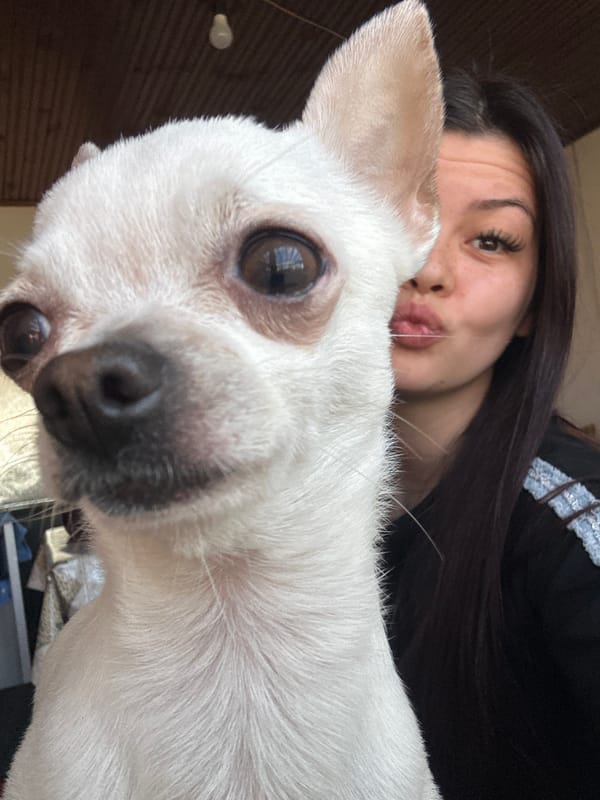 Woman takes morning selfies with white Chihuahua in Bulgaria