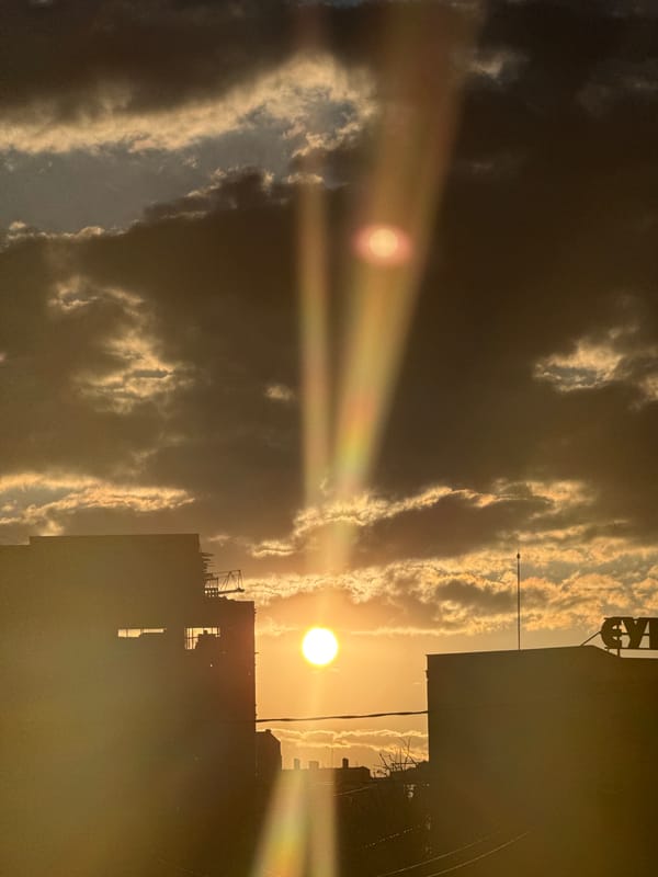 Golden hour photography session captured in Belgrade suburb