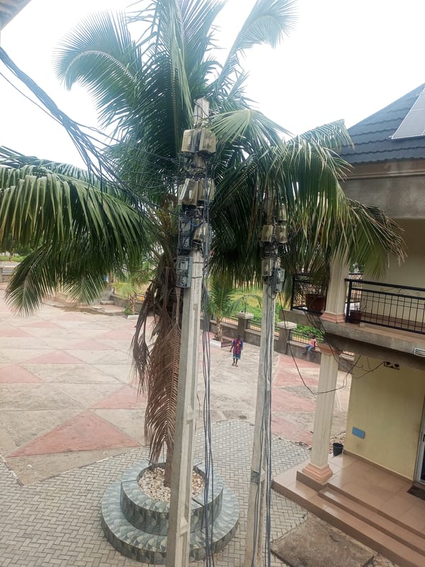 Street scene in Zanzi: solar panels, palm planters, and real estate ads