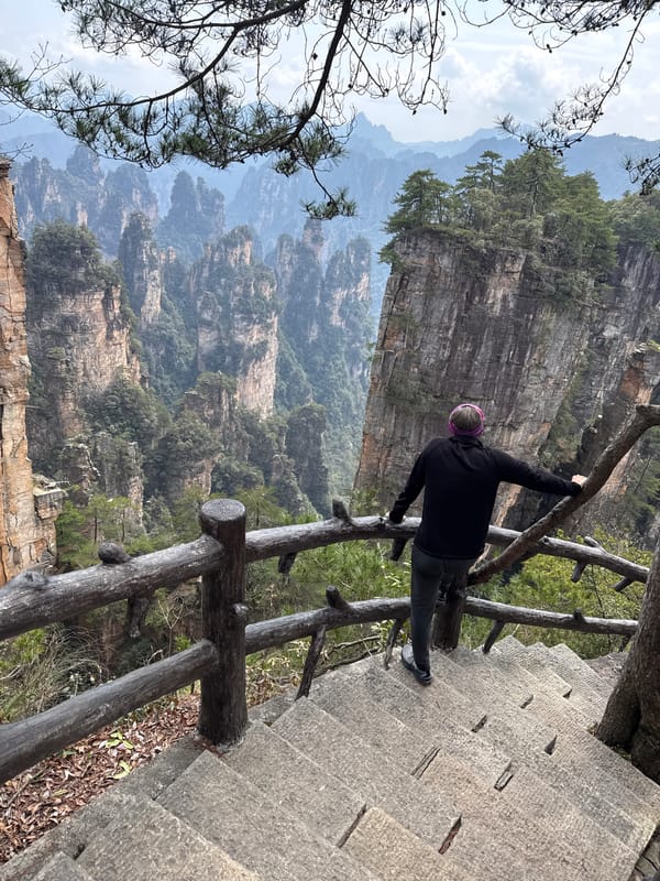 Tourist explores Wulingyuan with dog, visits markets, tries local food