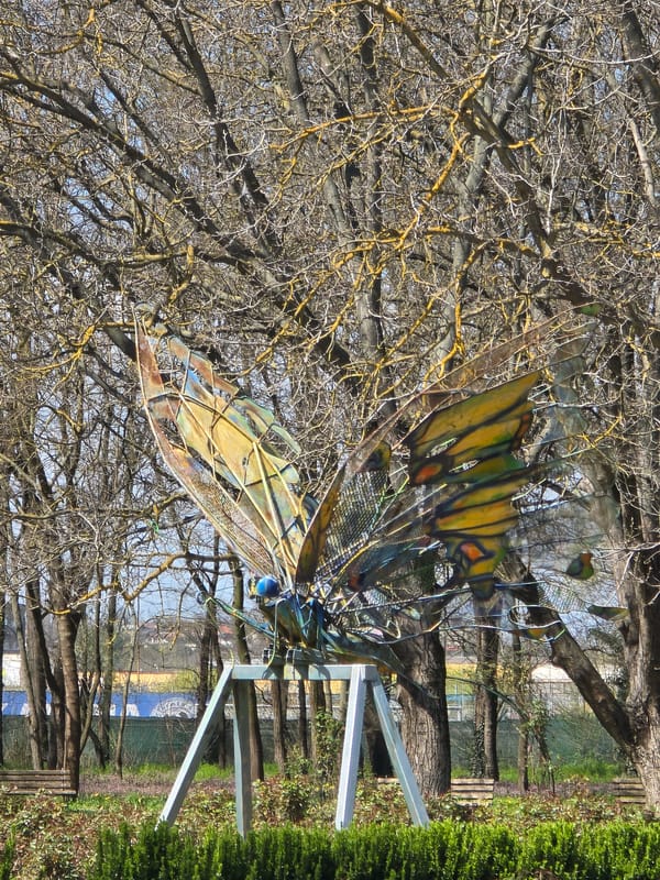 Metal butterfly, dragonfly sculptures spotted in Yambol, Bulgaria