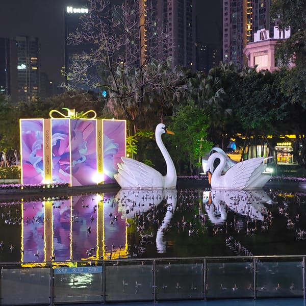 Nighttime activity observed at Liangjiang park and commercial district