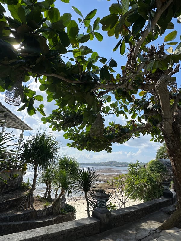 Quiet morning scenes around Nusa Penida's paths and trees