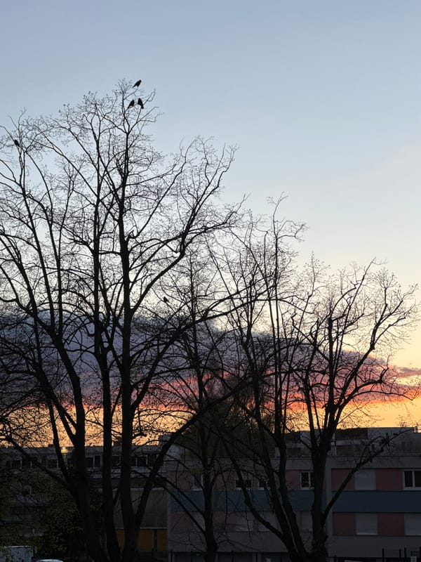 Sunset scenes captured across Strasbourg neighborhoods