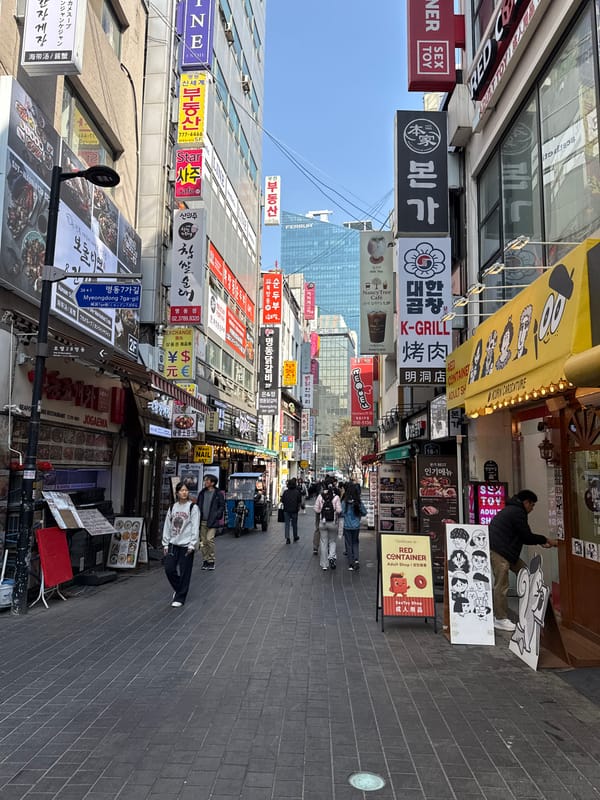 Seoul street scenes documented across Myeongdong district