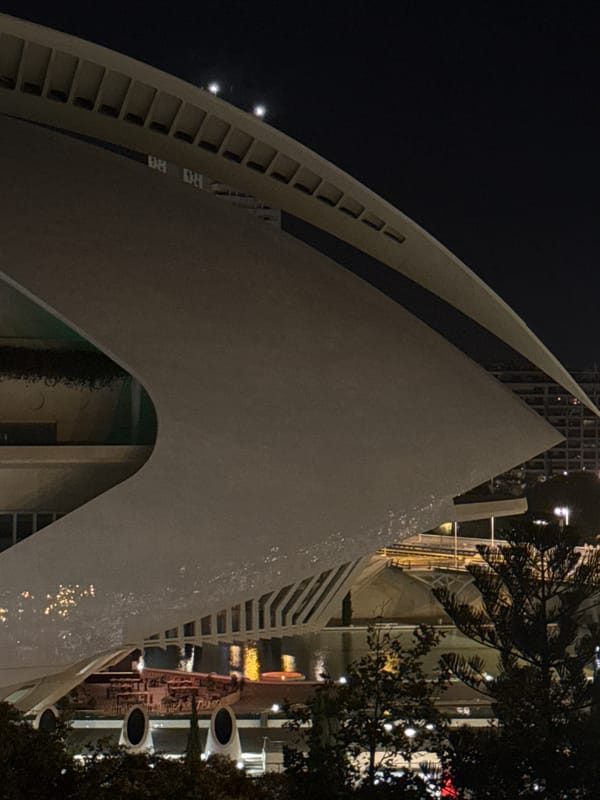 Night tour of Valencia's City of Arts and Sciences