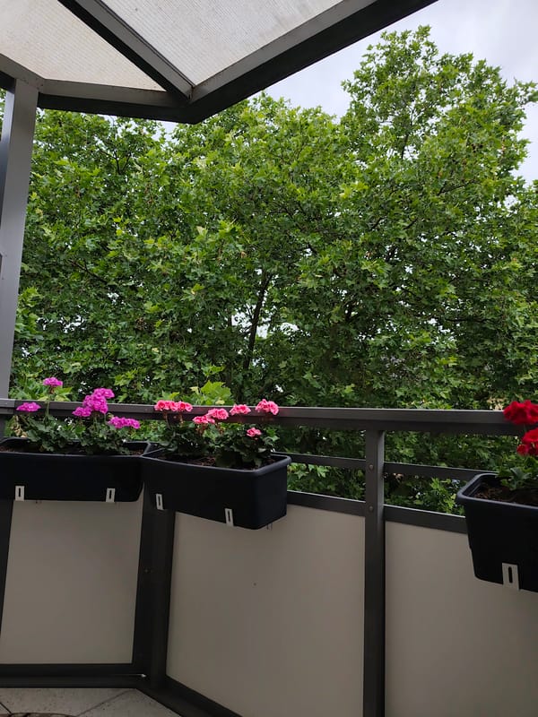 Frankfurt morning moments: balcony view and cosmetic organizer captured