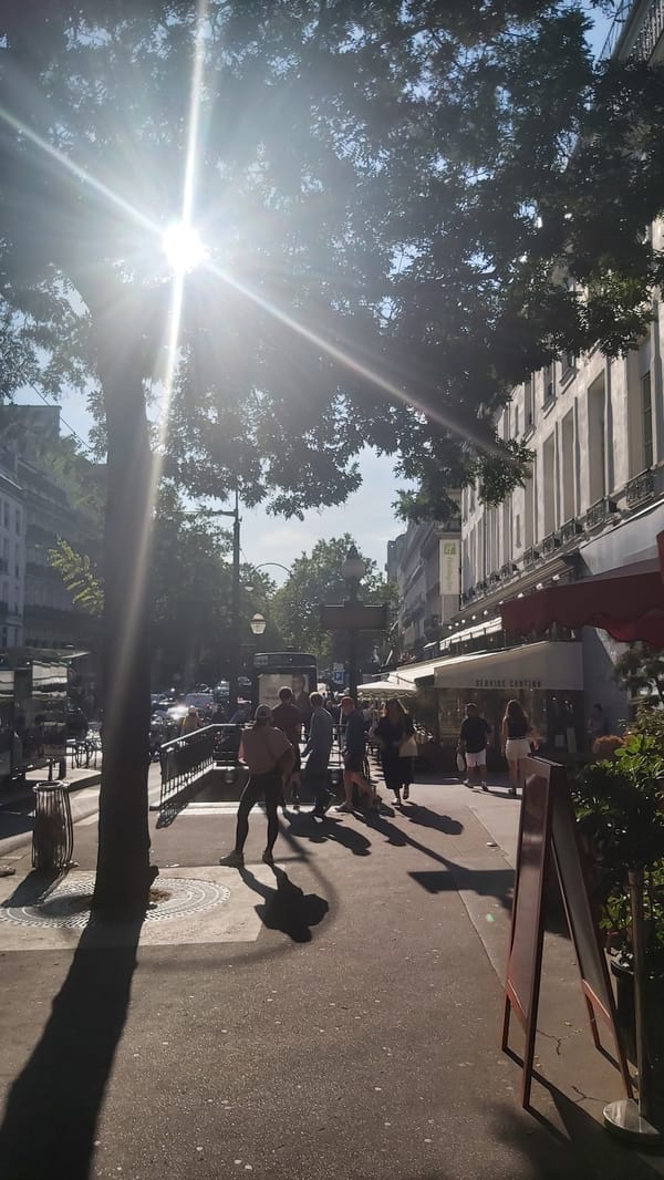 Sunny afternoon along the Grands Boulevards, Paris