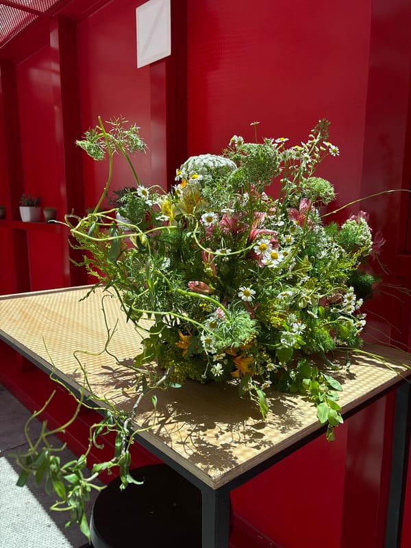 Modern Mexico City outdoor space features geometric planters, wildflowers