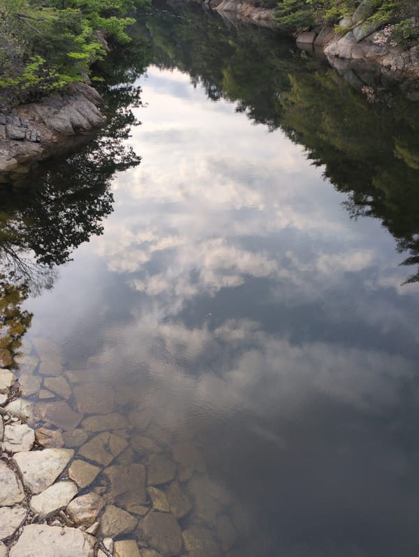 Witness captures rotated landscape imagery showing natural water scene