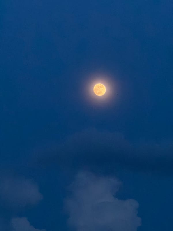 Orange full moon rising over Đà Nẵng at twilight
