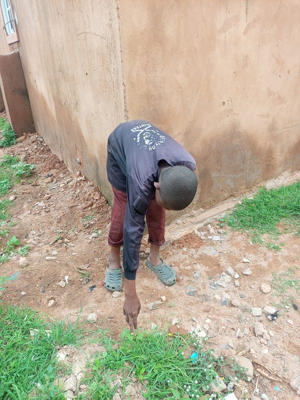 Candid moments outside a building in Tumfure, Nigeria
