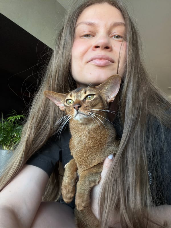 Evening cat photos and pet interactions in Glendale home
