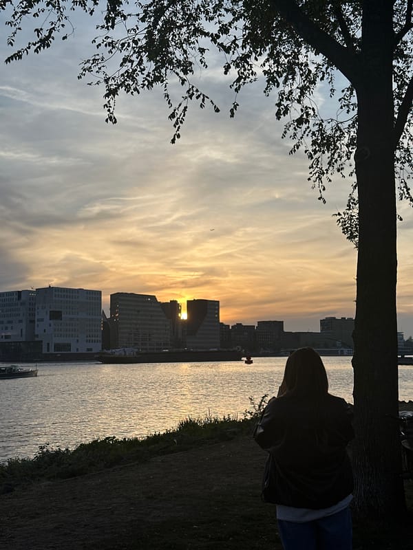 Sunset observed across Amsterdam waterfront and central station