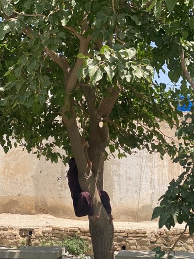 Children play in streets of Kandahar during morning hours