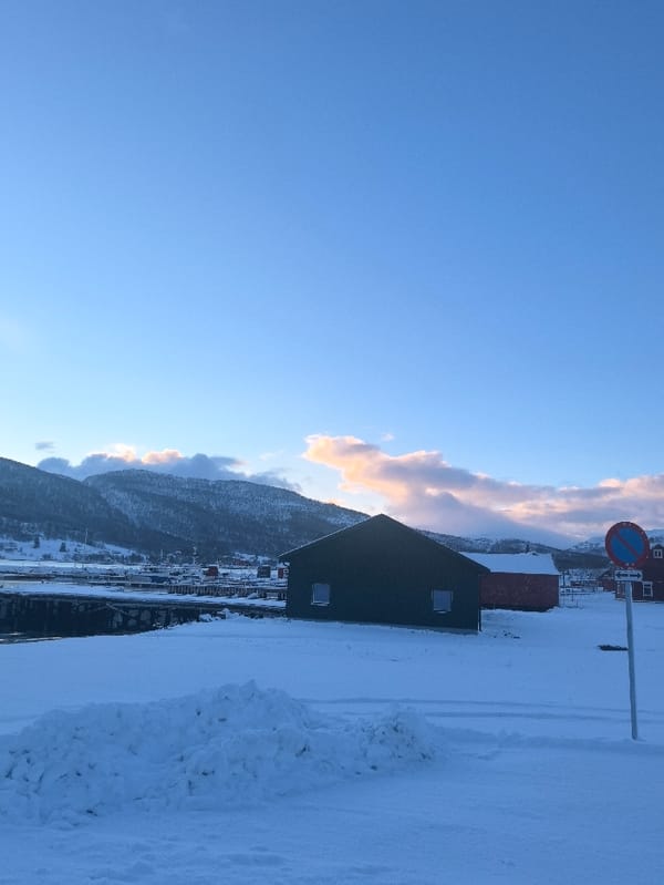 Winter landscape with disturbed snow documented in Gibostad, Norway