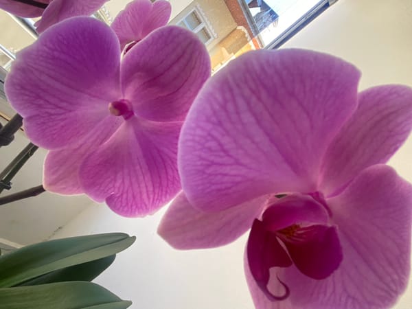 Morning snapshots capture daily life scenes in Alanya, Turkey