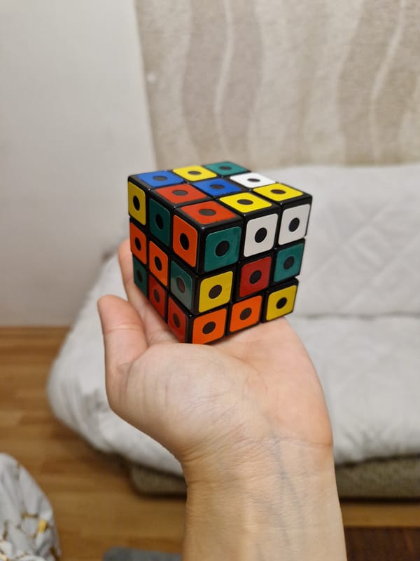 Rubik's Cube and a tabby cat, close-up in Lovech