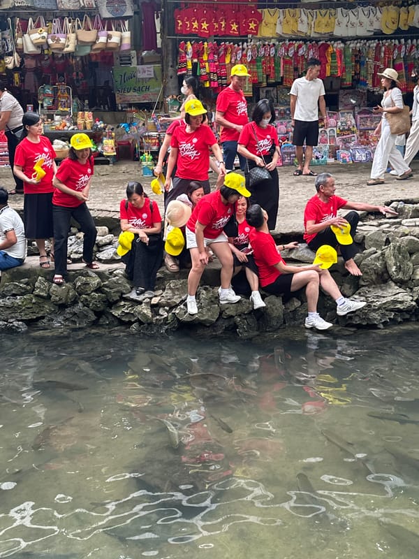 Tourist groups visit fish sites, markets in Vietnamese communes