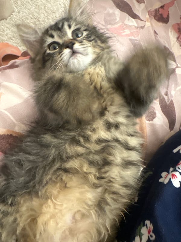Nighttime street scene captured in Marrakesh, Morocco