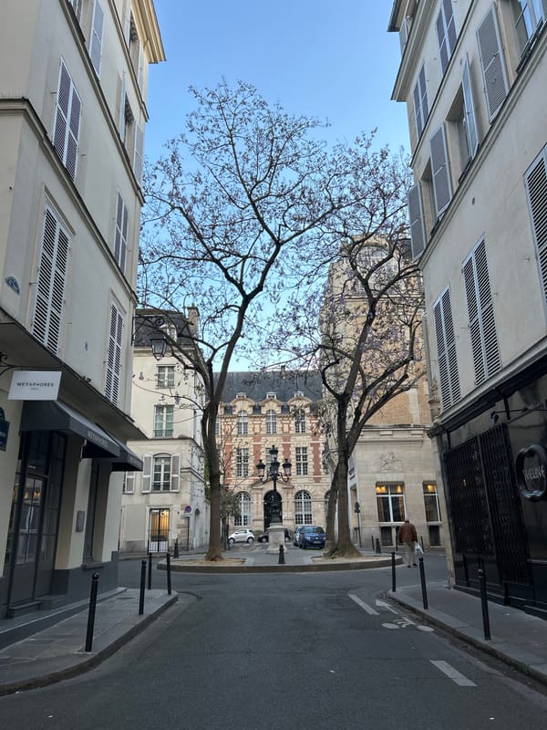 Spring afternoon walk through narrow Paris streets captured