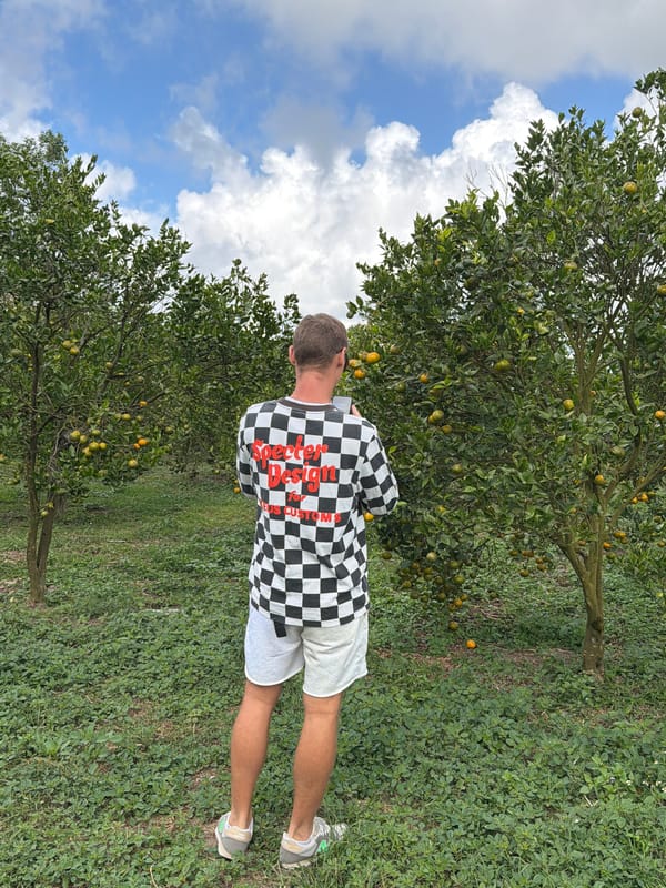 Exploring a citrus grove in Kintamani, Bali