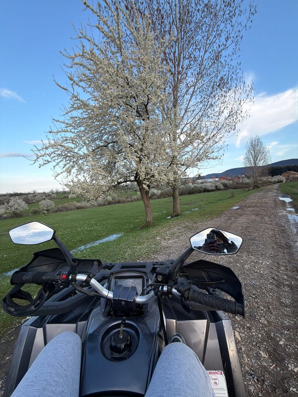 ATV rider travels dirt path near flower field in Bulgaria