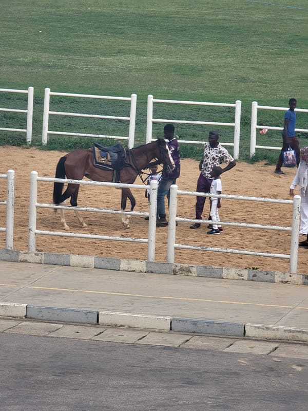 Community Recreation Day Features Horseback Riding and Soccer in Nigeria
