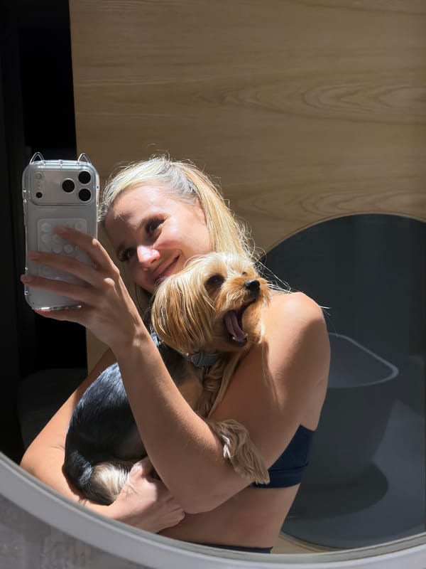 Yorkshire Terrier steals the show in a Thai bathroom