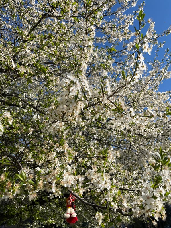Spring day scenes captured across Sofia, Bulgaria